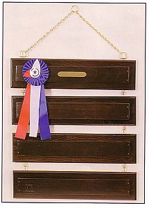 60810 Ribbon Rack